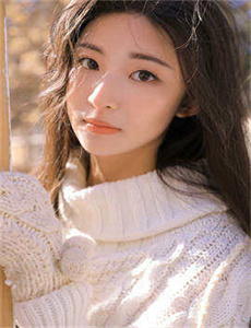 无为大师第一季